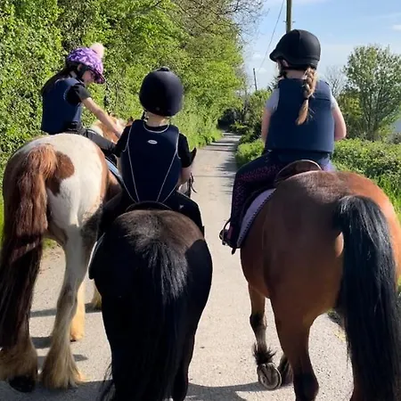 2-bed Sleeps 6 With Parking * Kildare