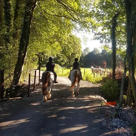 아파트 2-bed Sleeps 6 With Parking *