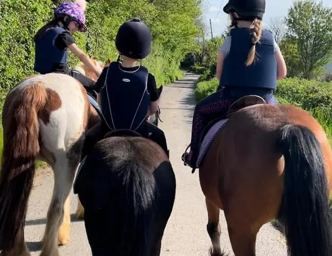 2-bed Sleeps 6 With Parking * Kildare