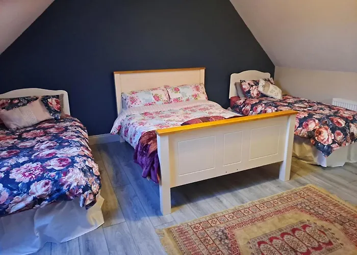 2-bed Sleeps 6 With Parking Apartamento Kildare